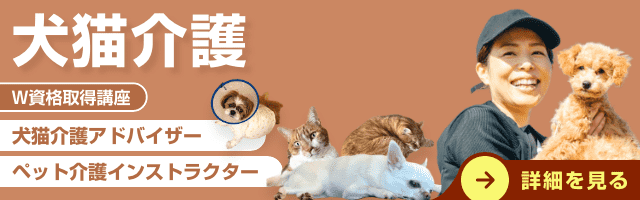 犬猫介護
