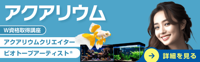 アクアリウム資格講座