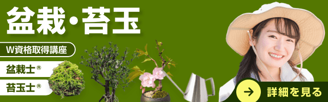 盆栽・苔玉資格講座