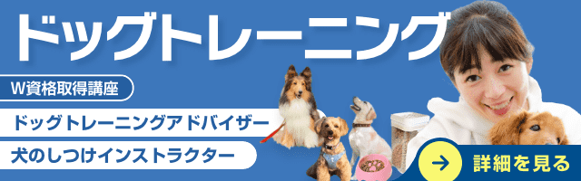 ドッグトレーニング資格講座