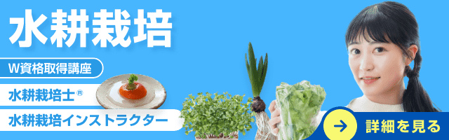 水耕栽培資格講座