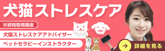 犬猫ストレスケア資格講座