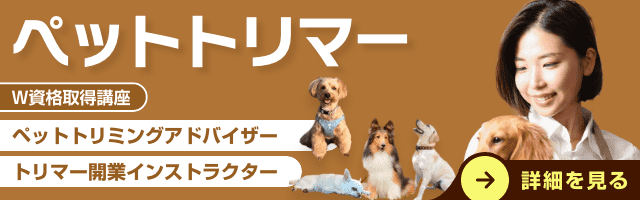 ペットトリミング資格講座