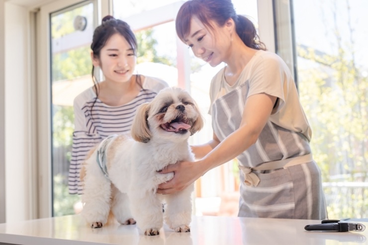 動物介護士（ペット介護士）とは？