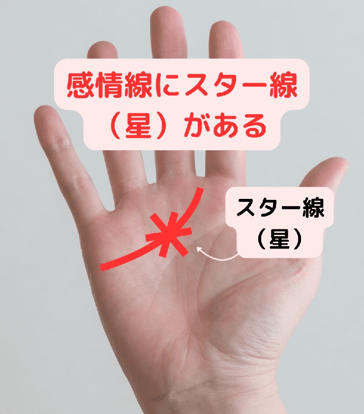 感情線にスター線（星）がある