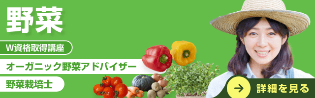 オーガニック野菜資格講座