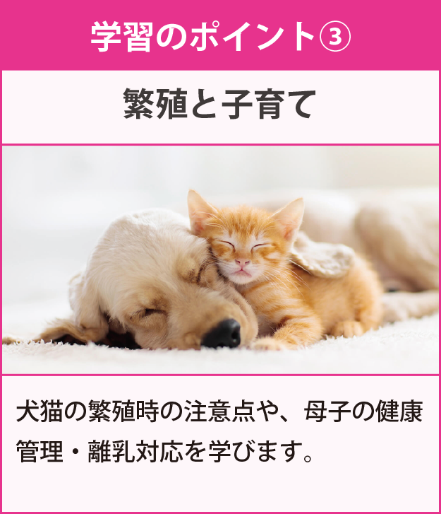 学習のポイント